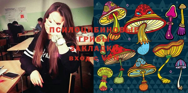 шишки Армянск