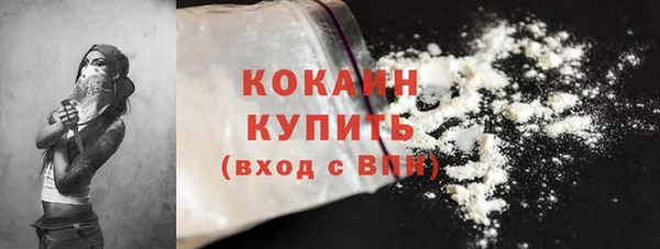 шишки Армянск