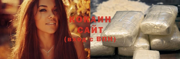 шишки Балахна