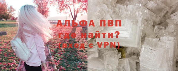 шишки Армянск